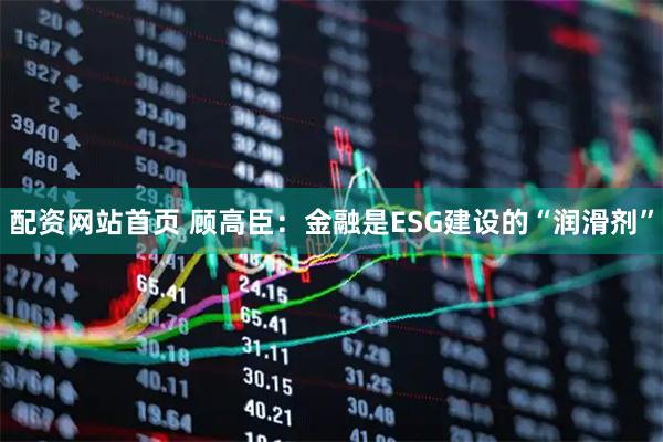 配资网站首页 顾高臣：金融是ESG建设的“润滑剂”